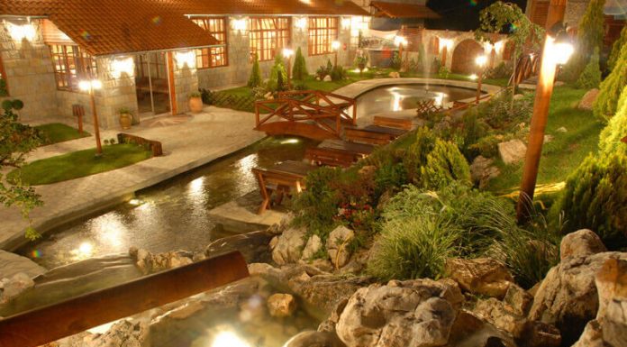 Restoran Balašević – najlepša bašta u Beogradu i fenomenalna svirka uživo za vikend Restoran Balasevic