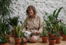 Šta je sve potrebno za zdrav razvoj biljaka? Šta je sve potrebno za zdrav razvoj biljaka?