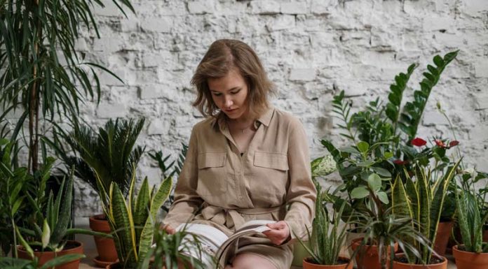 Šta je sve potrebno za zdrav razvoj biljaka? Šta je sve potrebno za zdrav razvoj biljaka?