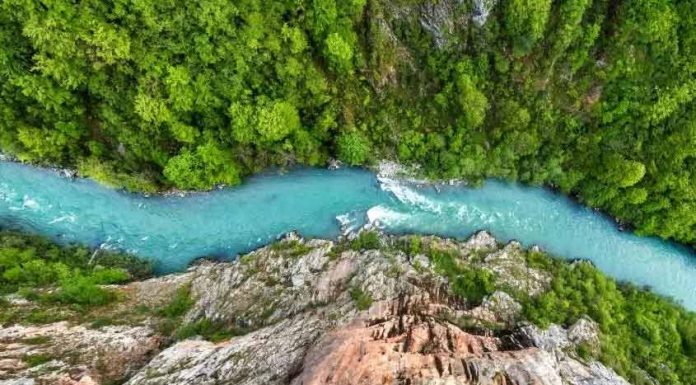 Reka Tara – izvor dobre energije rafting na tari