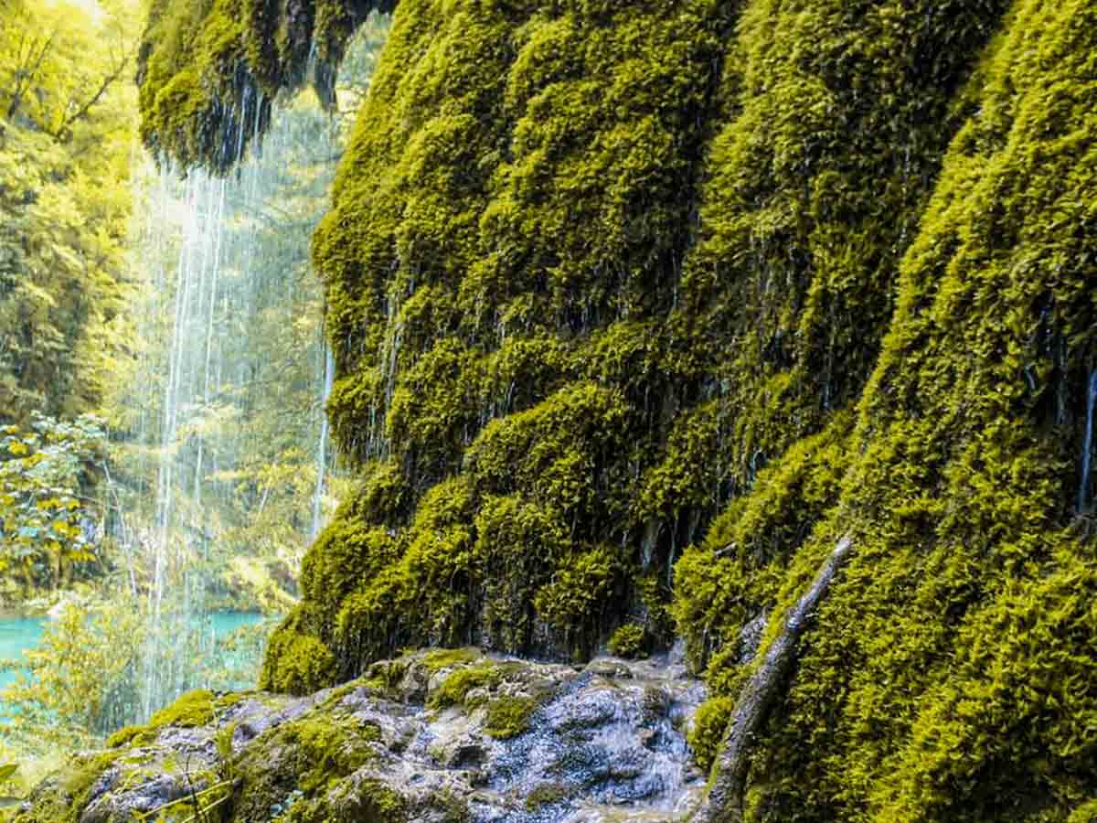 5-cinjenica-zasto-je-rafting-idealan-izbor-3