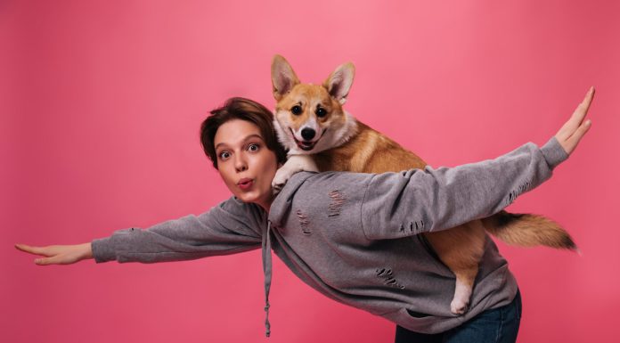 Odmor uz hotele za kućne ljubimce odmor-uz-hotele-za-kucne-ljubimce