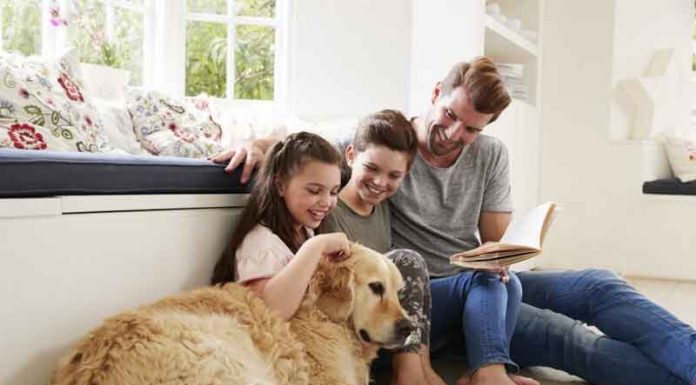 Kućni ljubimci za decu Kućni ljubimci za decu