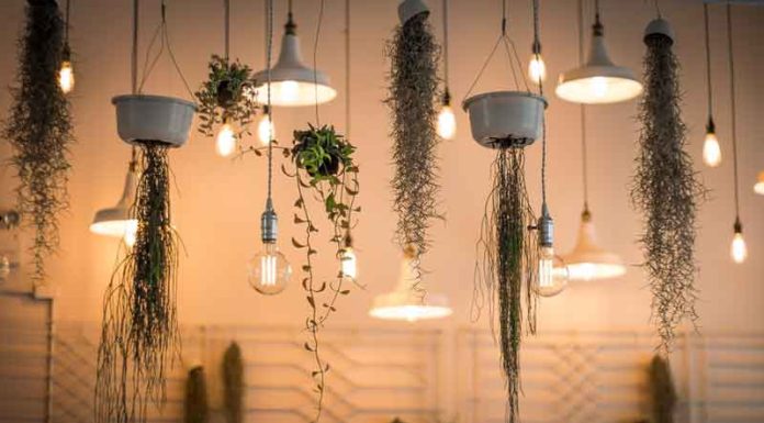 Najbolja rasveta Najbolja rasveta