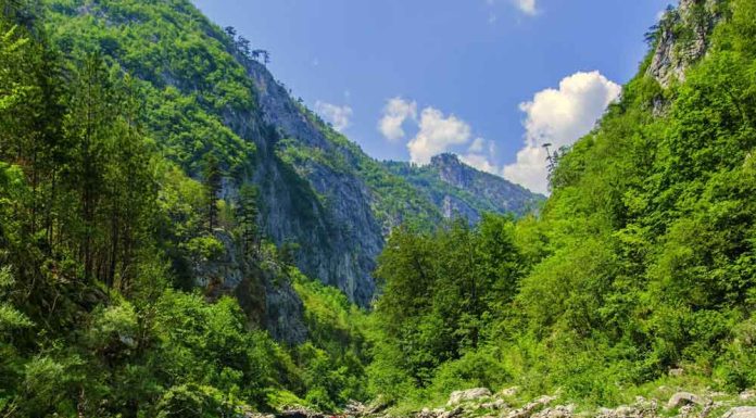 Rafting na Tari u septembru rafting Tarom