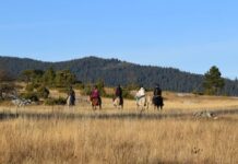 Rafting Tara + jahanje konja vrhovima kanjona Rafting + jahanje konja vrhovima kanjona Tare
