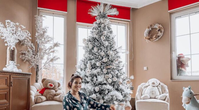 Seka Aleksić Nova godina Seka Aleksić Nova godina