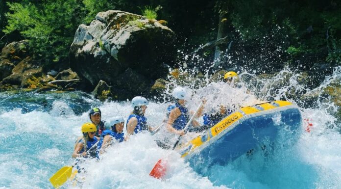 Leto je kratko – spusti se niz Taru pre nego što prođe Leto je kratko – spusti se niz Taru pre nego što prođe