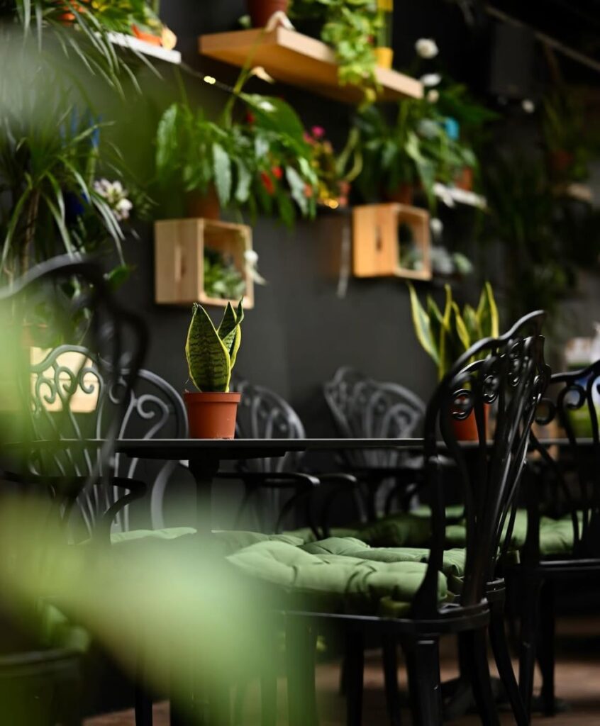 Gde izaći za Dan zaljubljenih u Beogradu 