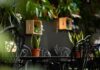 Looking for a Hidden Café in Belgrade? Start with Foresta Belville Looking for a Hidden Café in Belgrade? Start with Foresta Belville