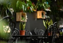 Looking for a Hidden Café in Belgrade? Start with Foresta Belville Looking for a Hidden Café in Belgrade? Start with Foresta Belville