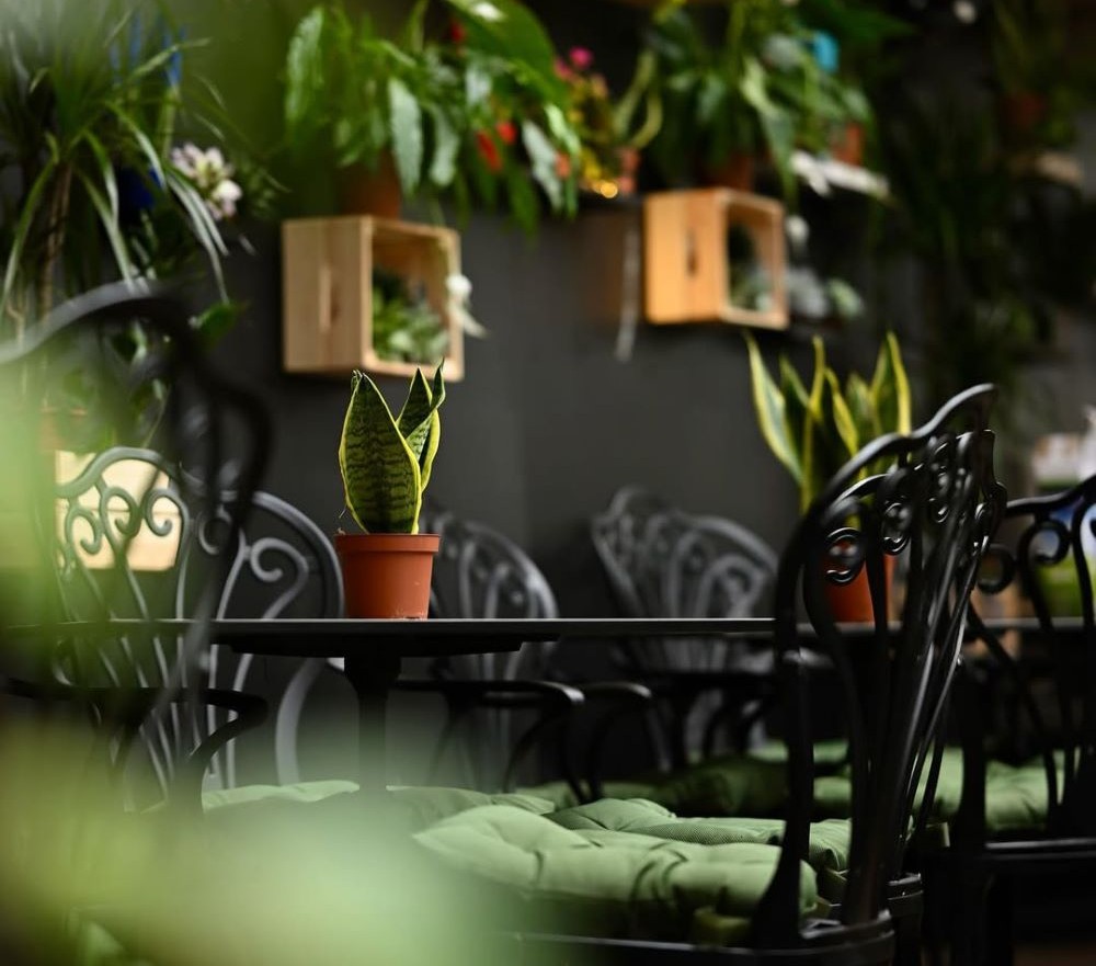 foresta-belville-23 Looking for a Hidden Café in Belgrade? Start with Foresta Belville