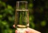 International Prosecco Day – italijanski mehurići imaju svoj dan International Prosecco Day - italijanski mehurići imaju svoj dan