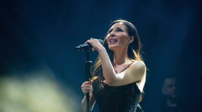 Ceca Nova godina